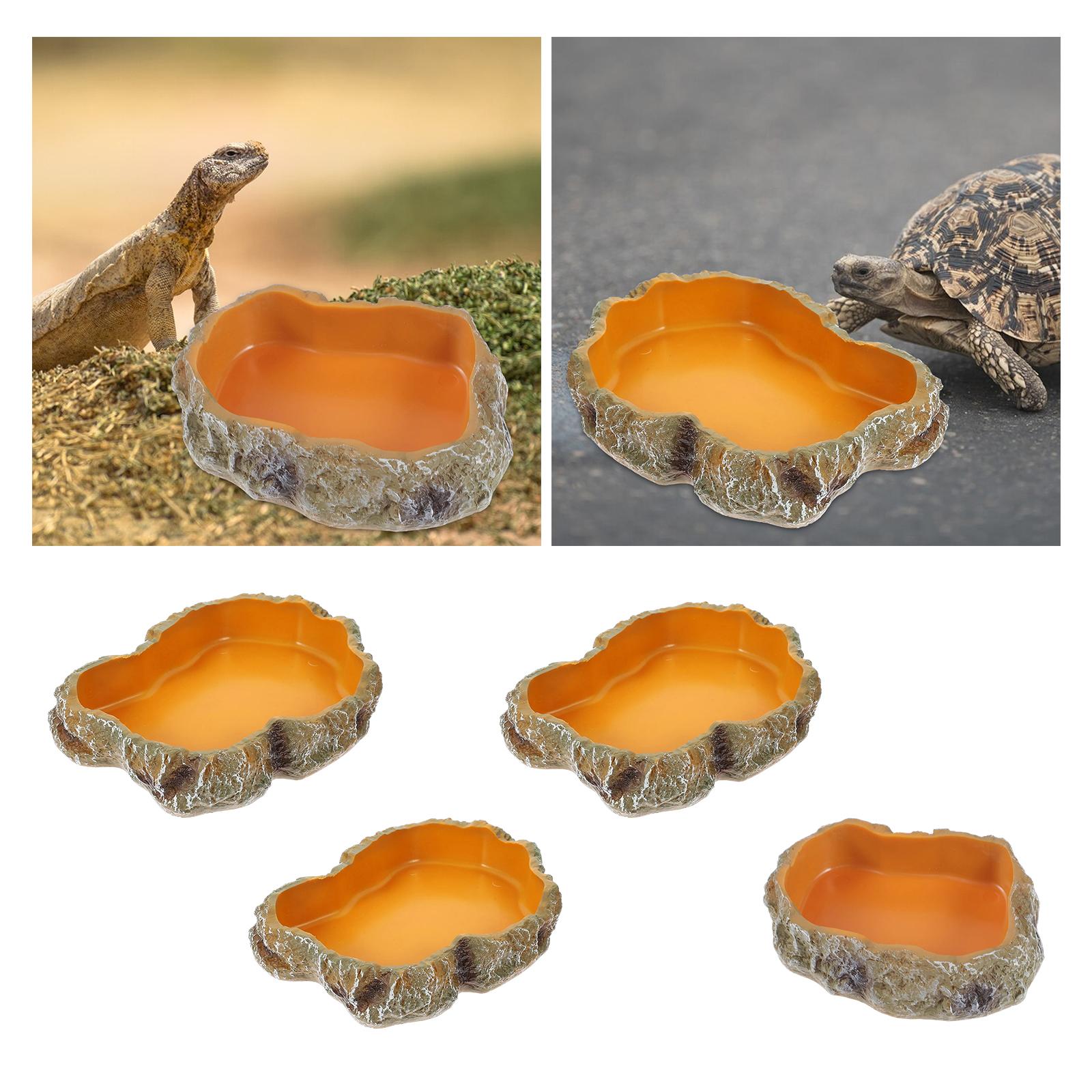 Bols d'eau pour Reptile, Terra - Water Dish Reptile avis et prix