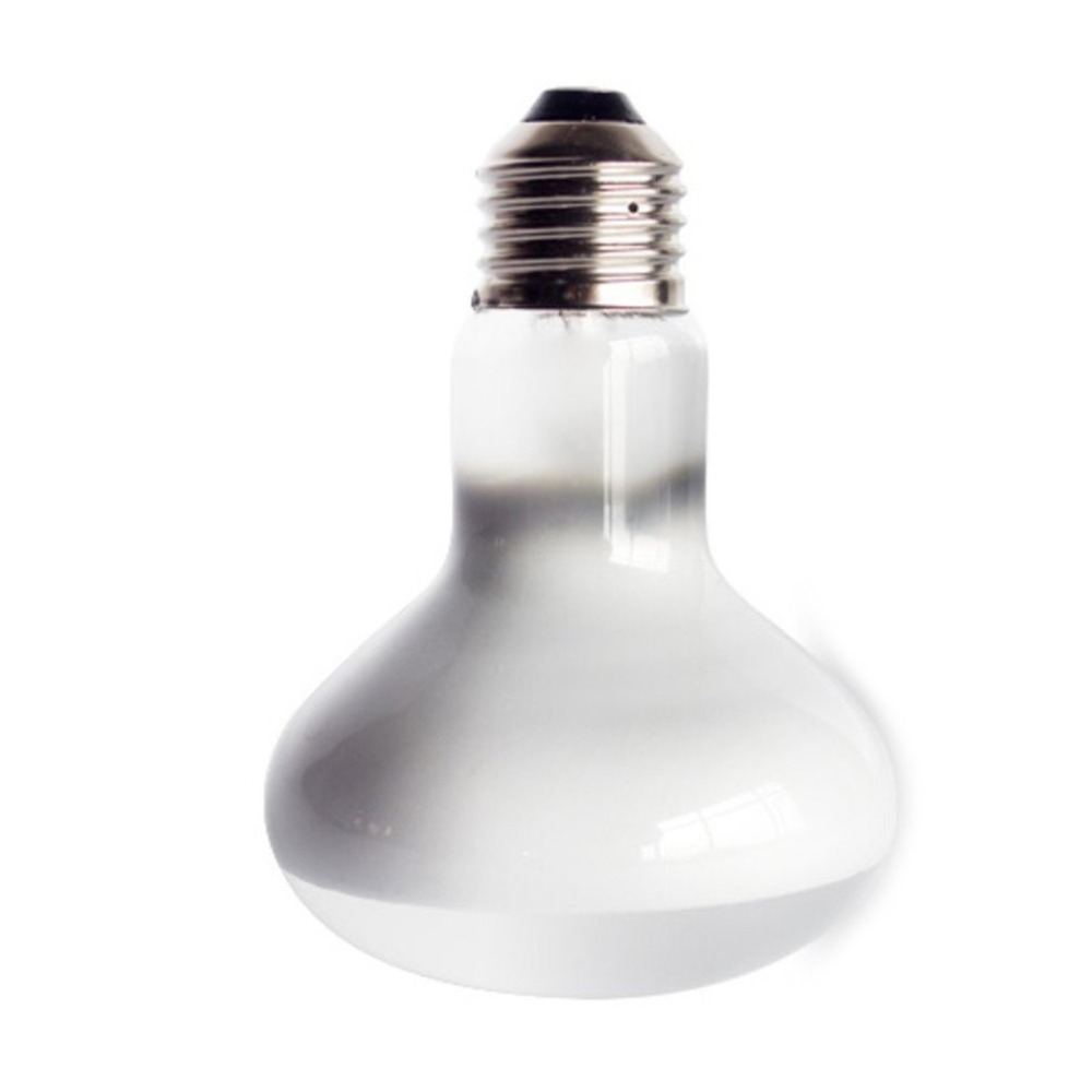 Contrôleur de température pour - Basking Bulb Halogen avis et prix