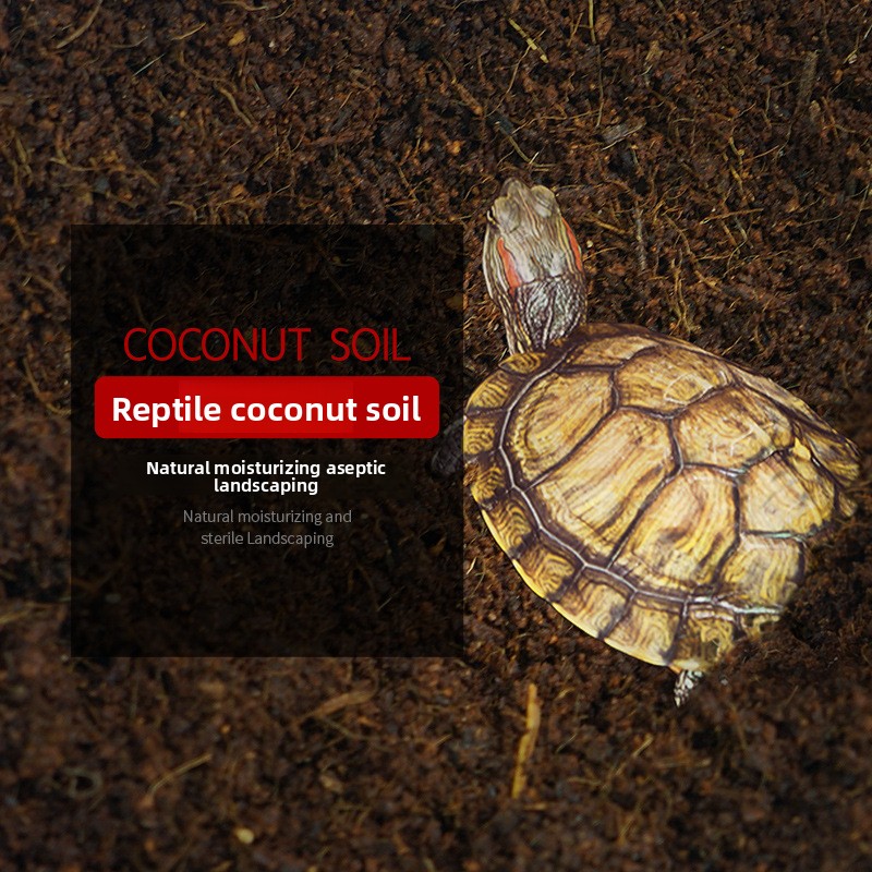 WAJABABY Brique Coco Coir prêt - Substrate Coconut Fiber avis et prix