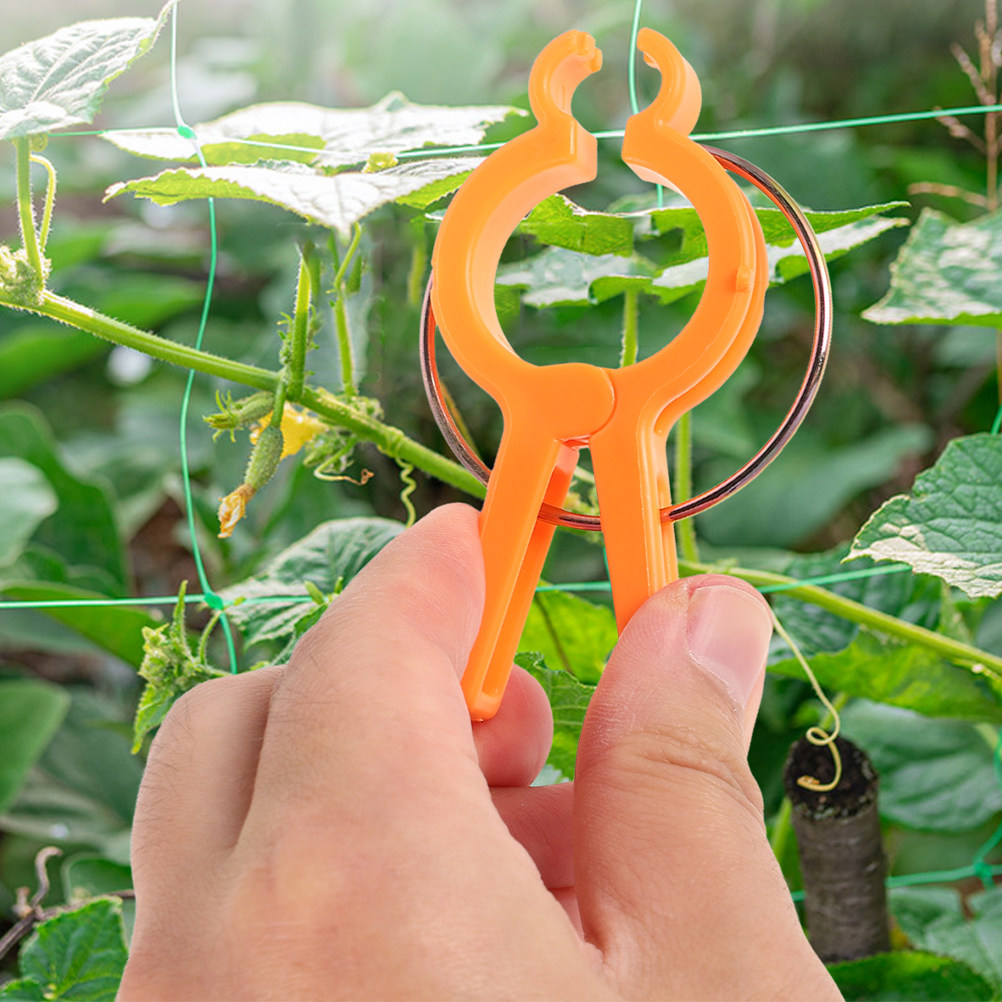10 pinces de fixation pour pla - Vine Climbing Plastic avis et prix
