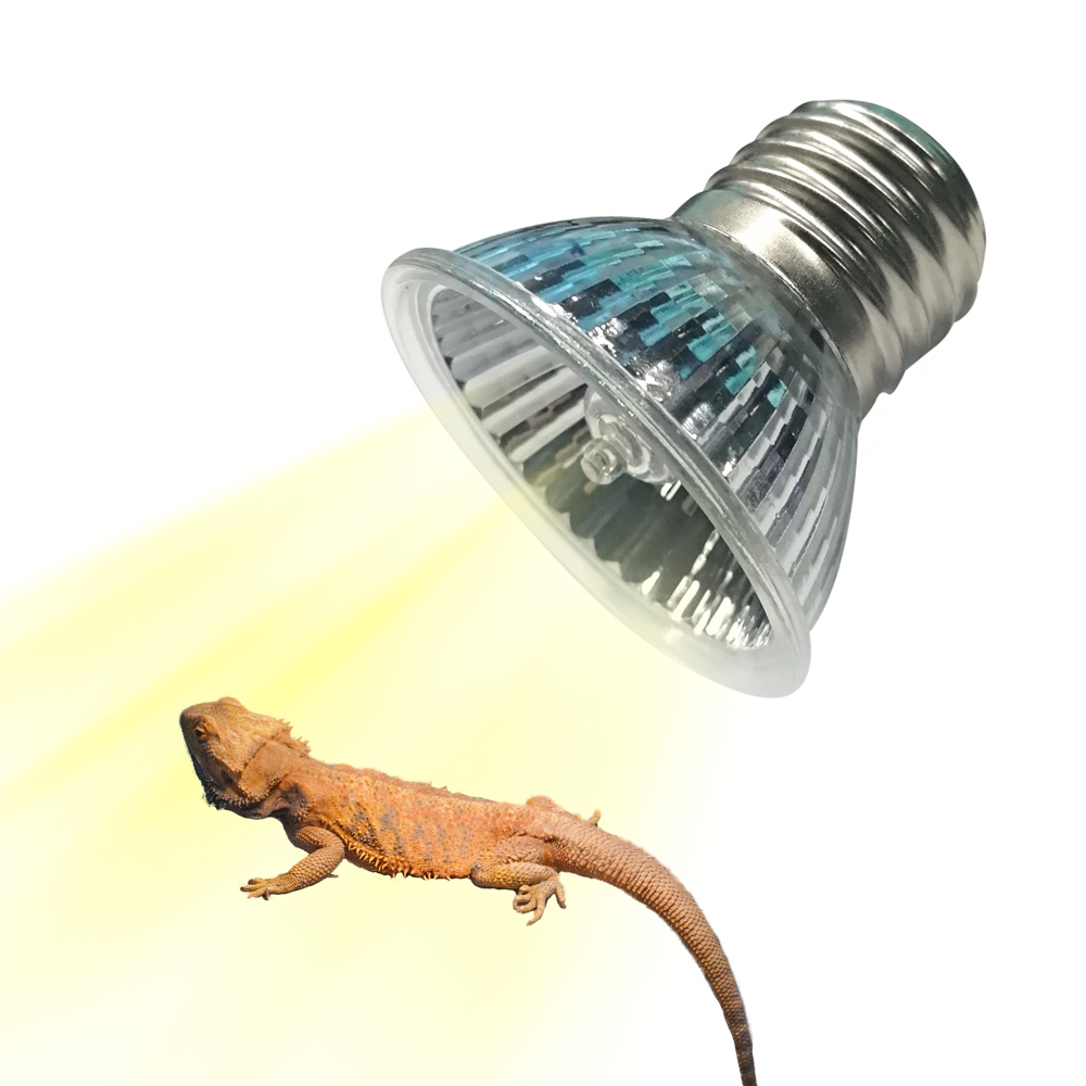 Lampe chauffante à spectre com - Calcium Powder Reptile avis et prix