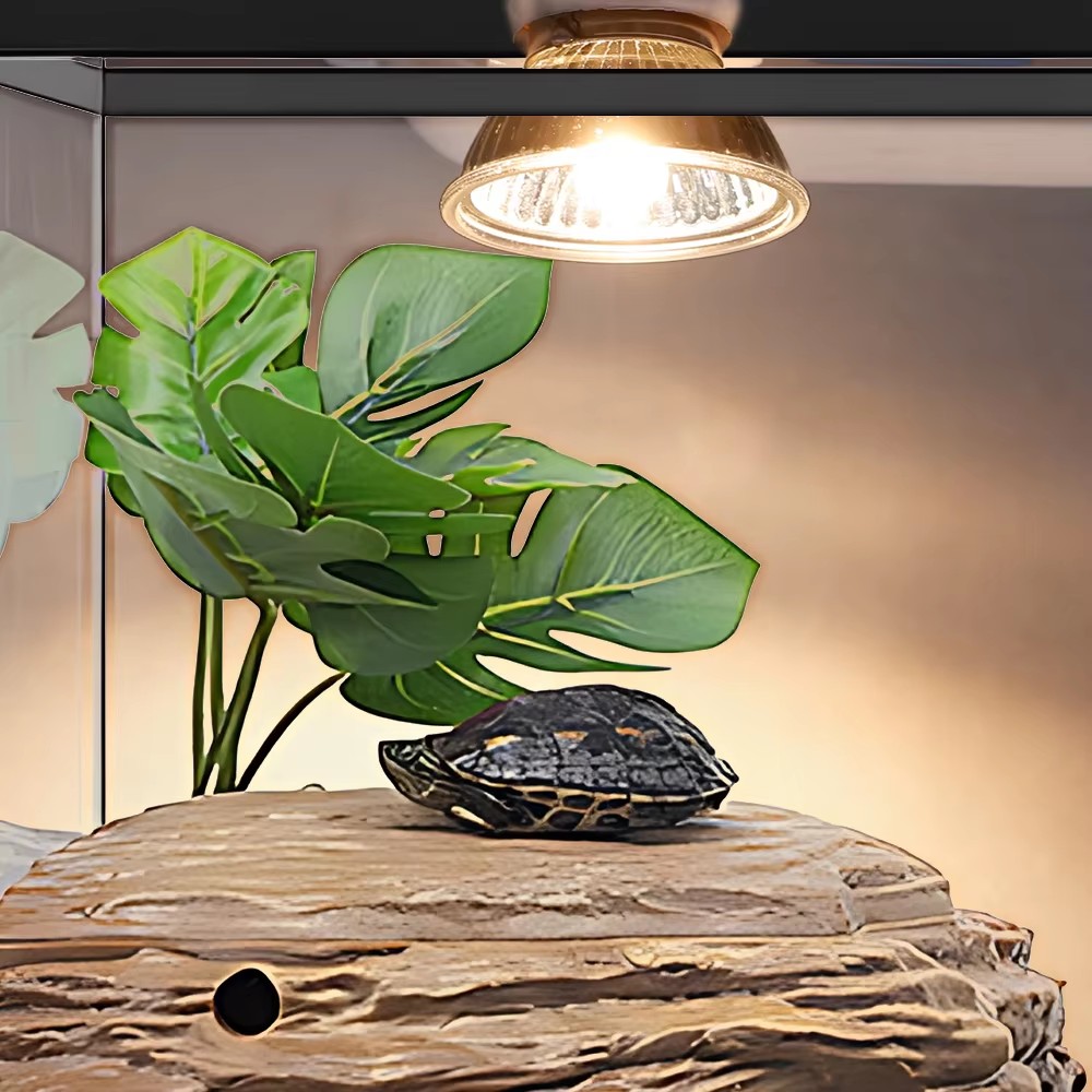 Lampe chauffante à spectre com - Calcium Powder Reptile avis et prix