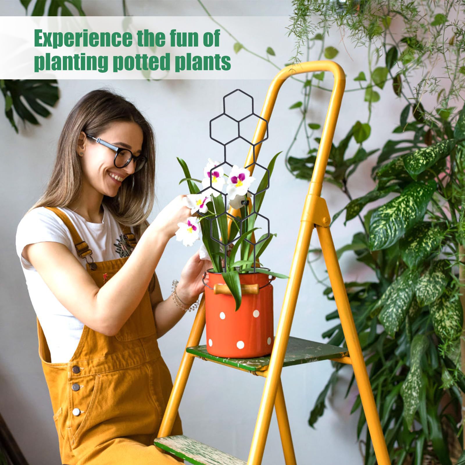1 treillis pour plantes en for - Vine Climbing Plastic avis et prix