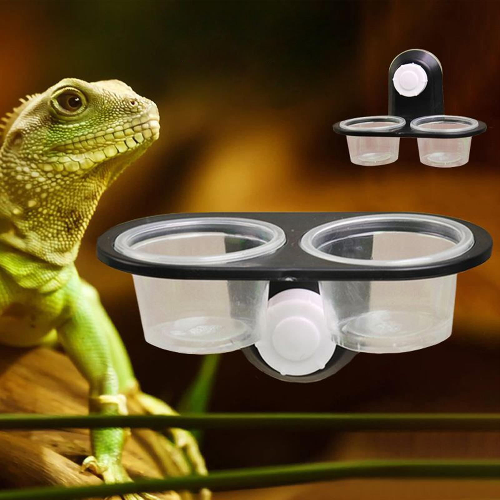 Distributeur d'eau et de nourr - Water Dish Reptile avis et prix