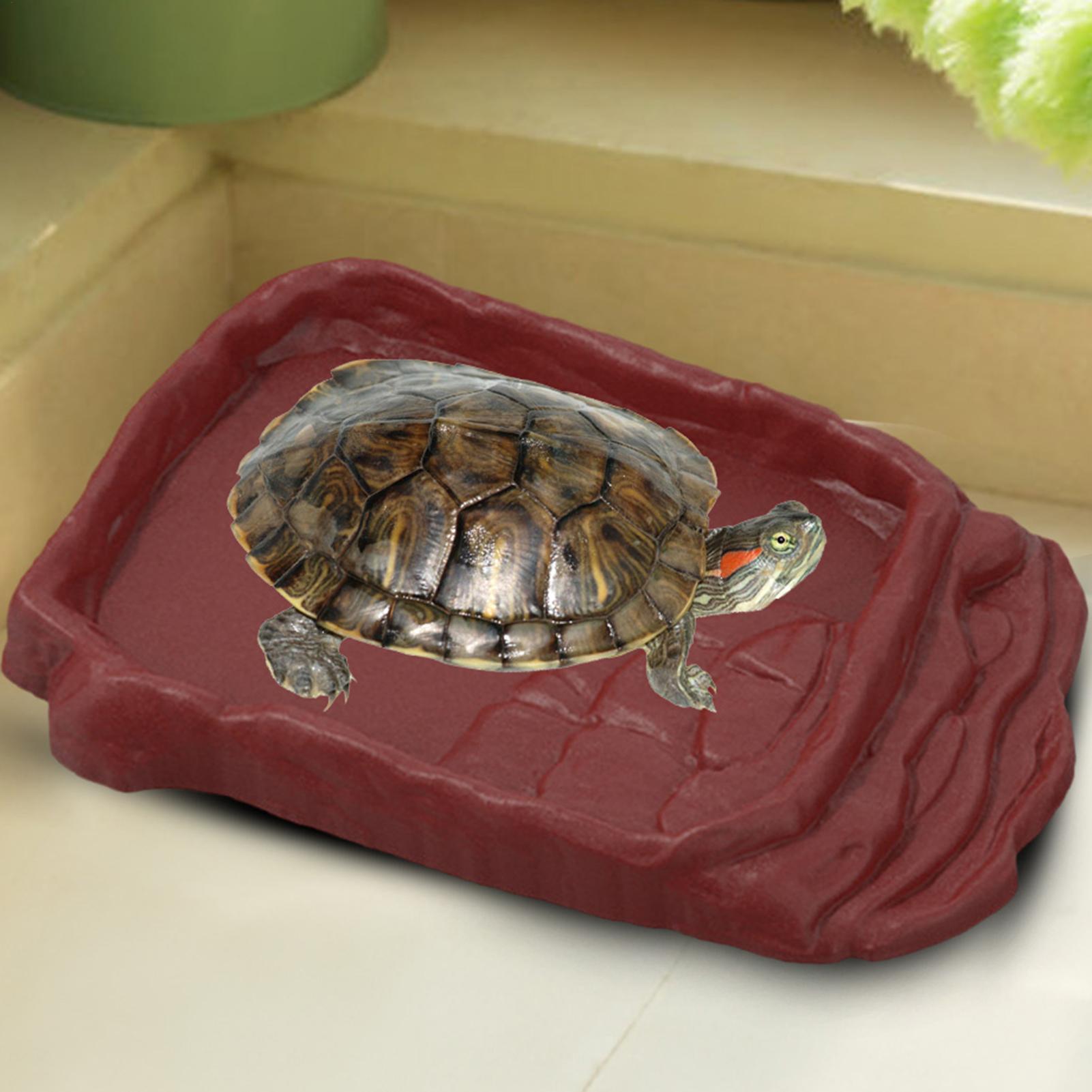 Baignoire pour tortue, abreuvo - Water Dish Reptile avis et prix
