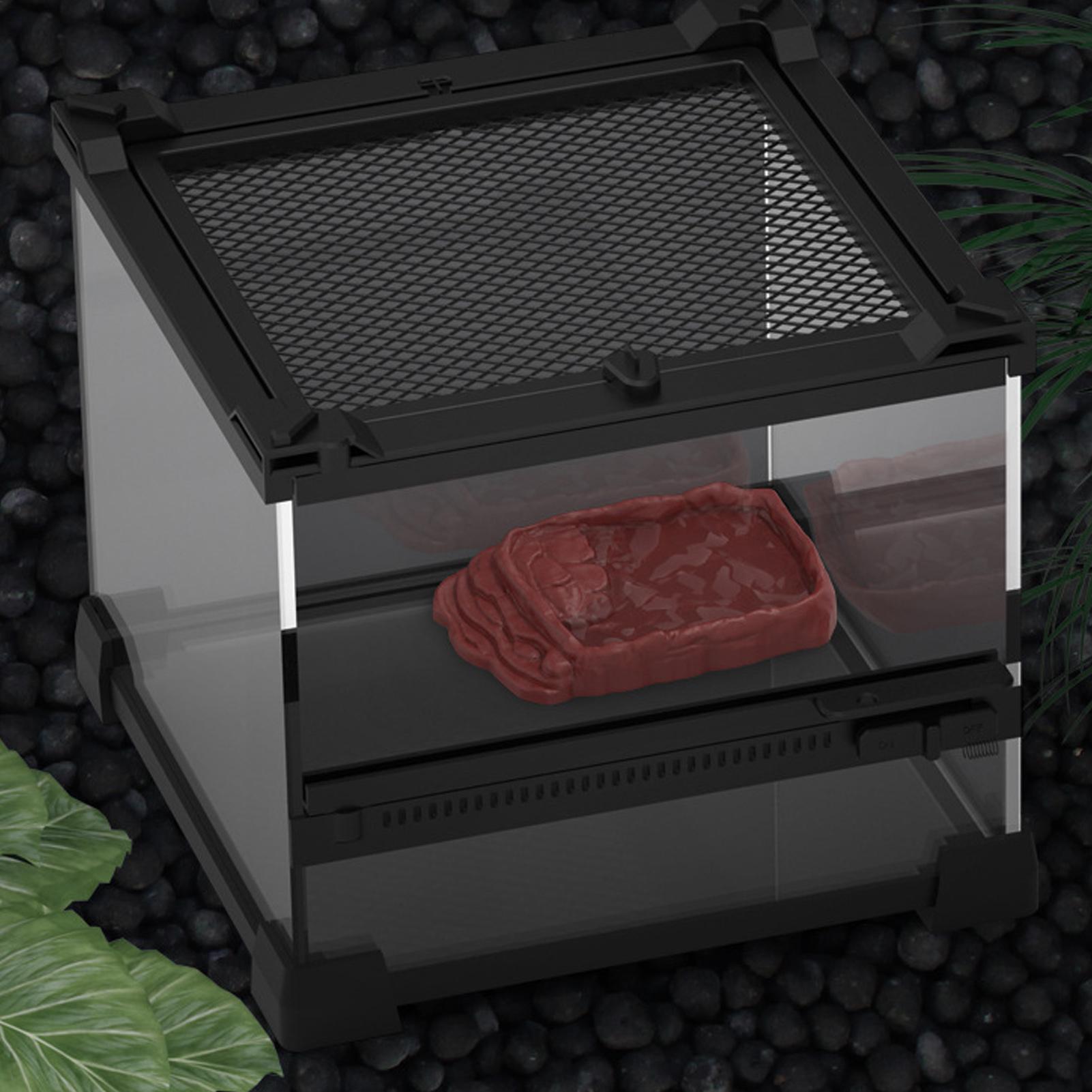 Baignoire pour tortue, abreuvo - Water Dish Reptile avis et prix