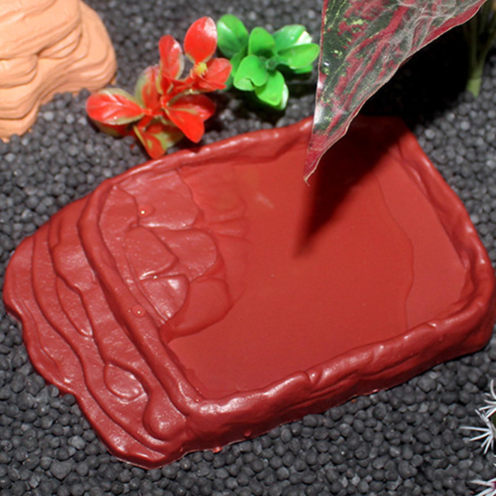 Baignoire pour tortue, abreuvo - Water Dish Reptile avis et prix