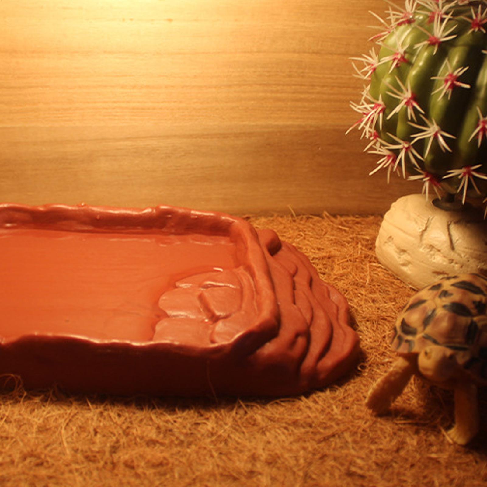 Baignoire pour tortue, abreuvo - Water Dish Reptile avis et prix
