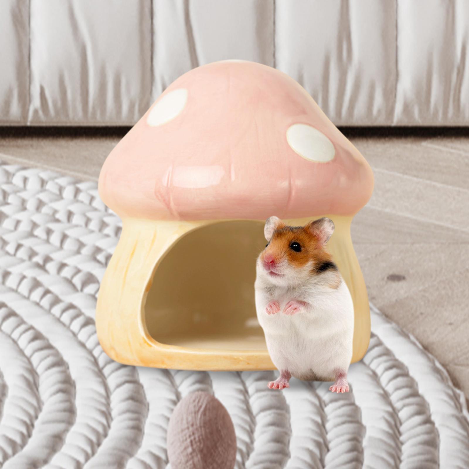 Cachette plus lente en céramiq - Hide Cave Ceramic avis et prix