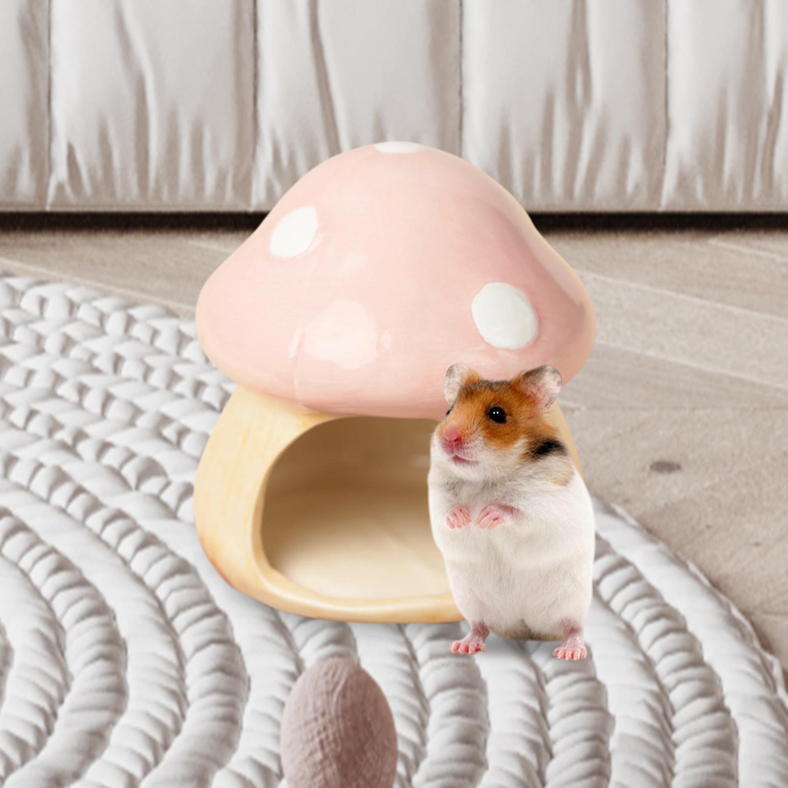 Cachette plus lente en céramiq - Hide Cave Ceramic avis et prix