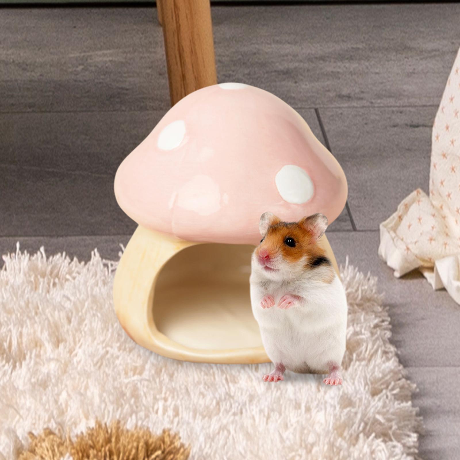 Cachette plus lente en céramiq - Hide Cave Ceramic avis et prix