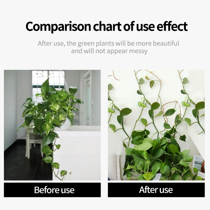 Mur d'escalade pour plantes, f - Vine Climbing Plastic avis et prix