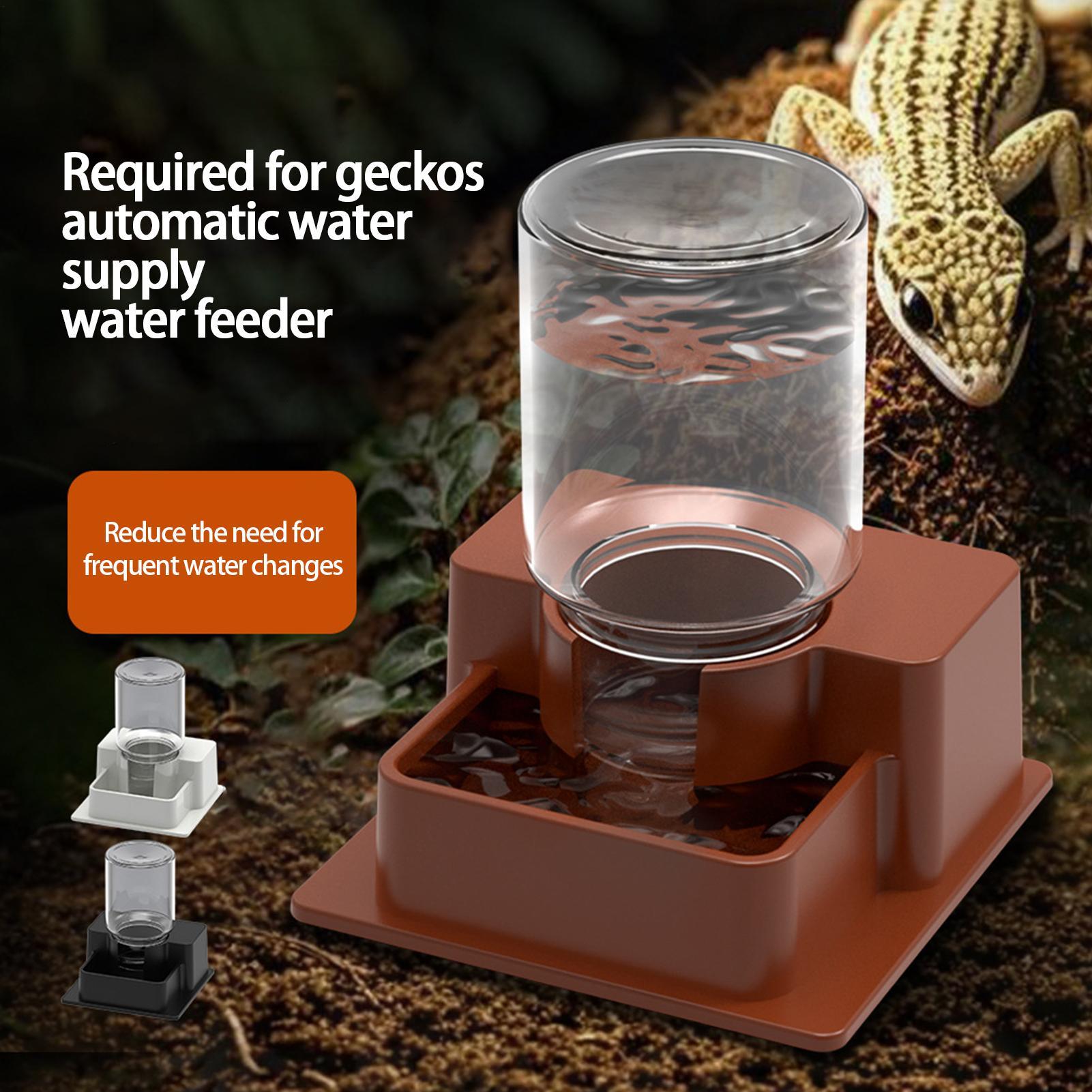 Distributeur automatique de no - Water Dish Reptile avis et prix