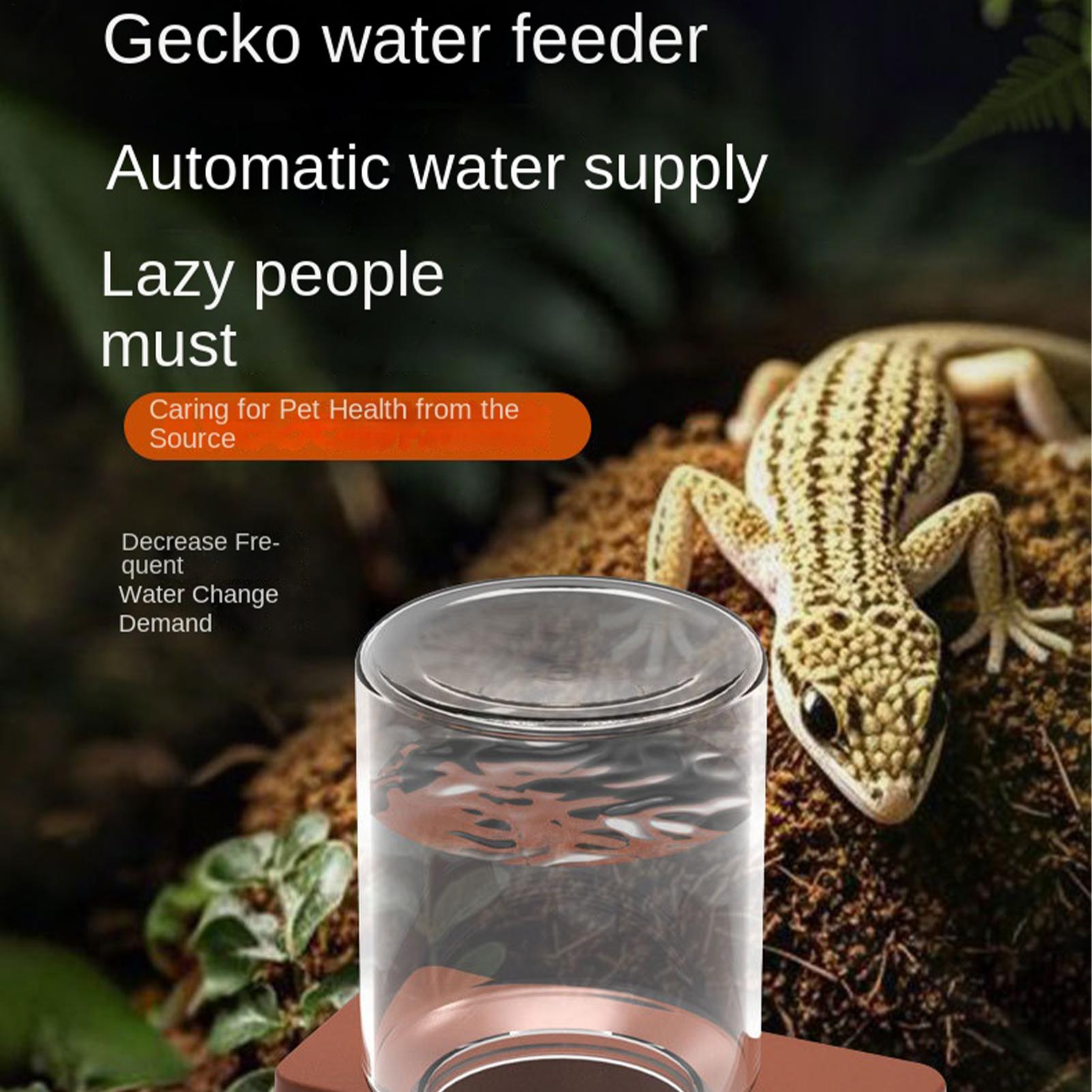 Distributeur automatique de no - Water Dish Reptile avis et prix
