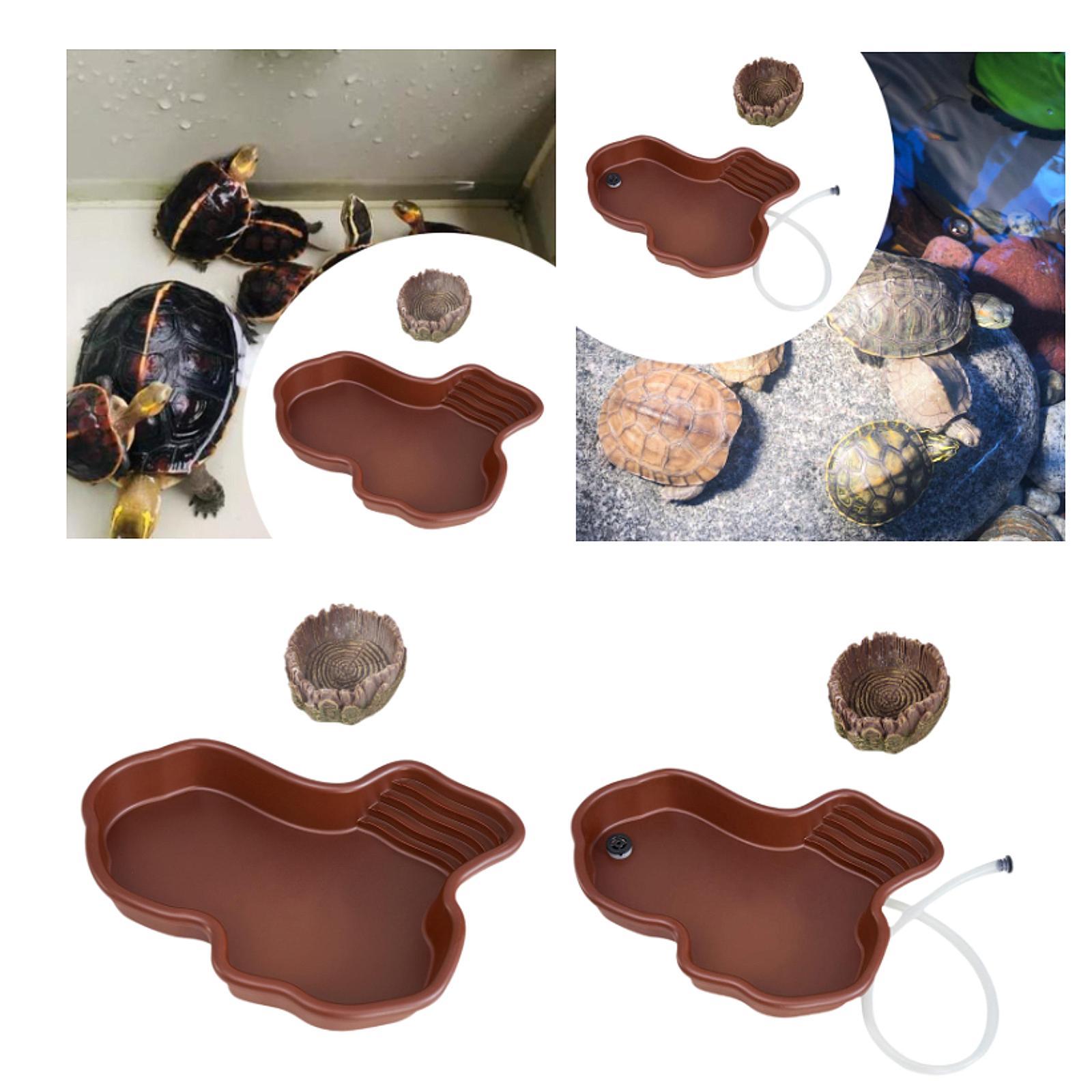 Plat d'alimentation pour repti - Water Dish Reptile avis et prix